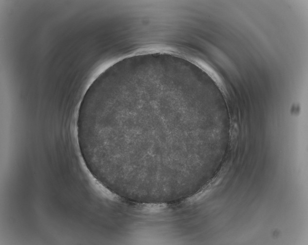 X0000096721055200802261649