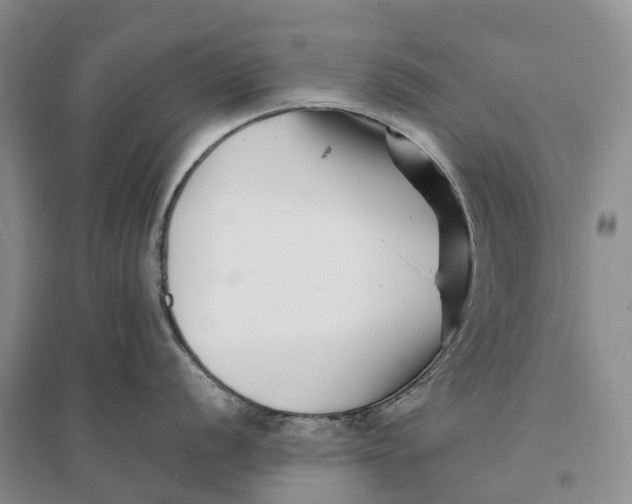 X0000096721056200802261649