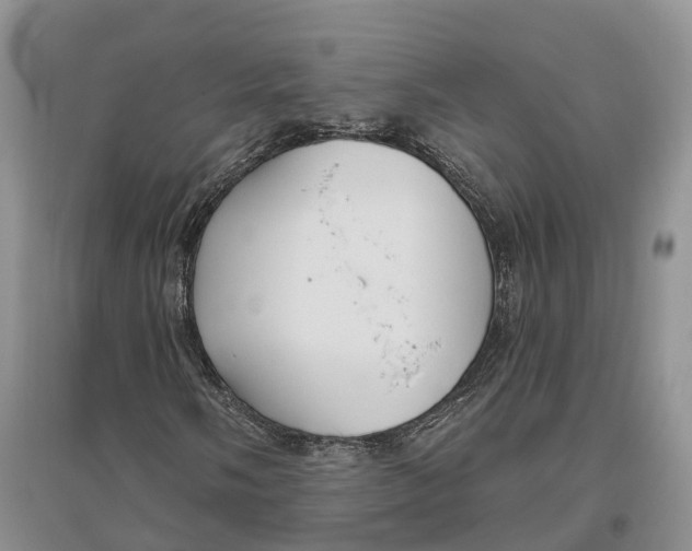 X0000096721058200802261648