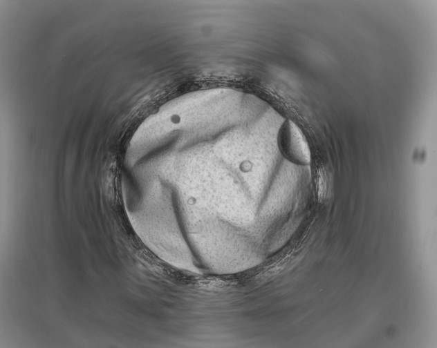 X0000096721059200802261648