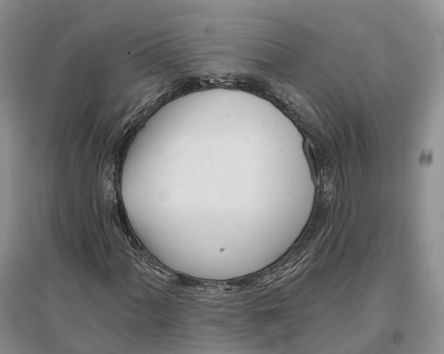 X0000096721060200802261648