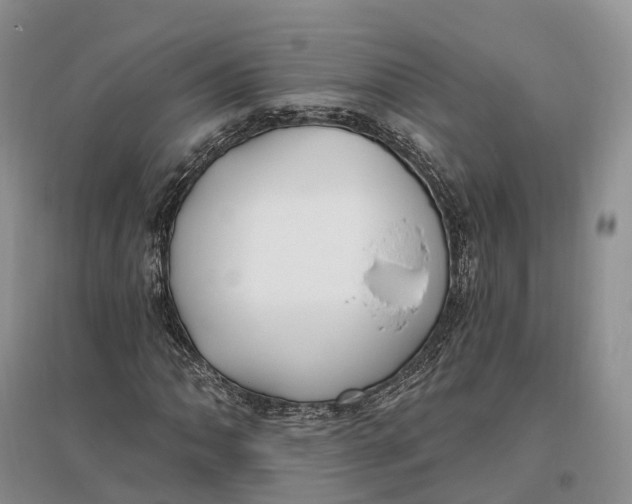 X0000096721062200802261648