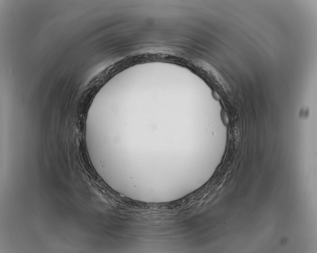 X0000096721064200802261648