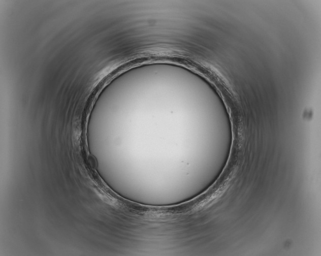 X0000096721065200802261648