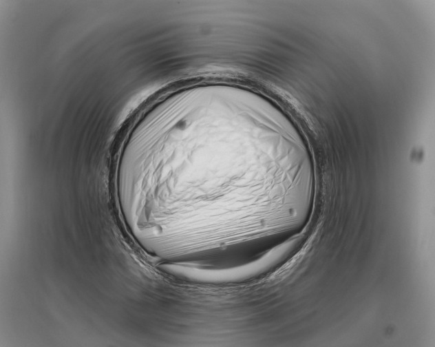 X0000096721066200802261648