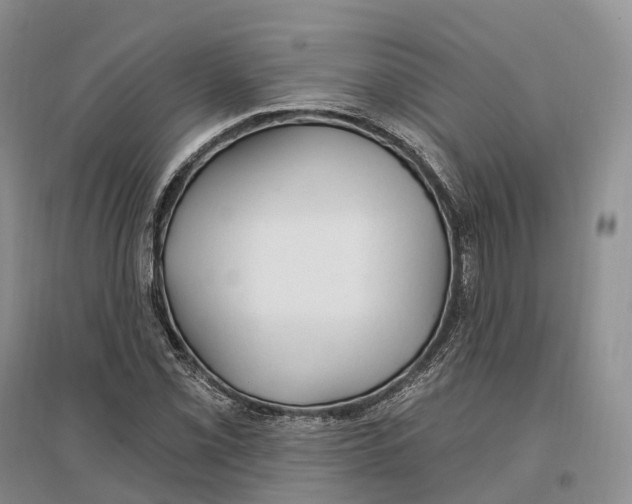 X0000096721069200802261648