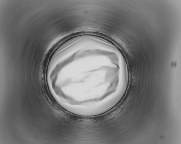 X0000096721070200802261648