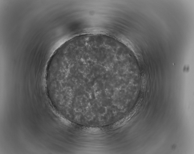 X0000096721071200802261648