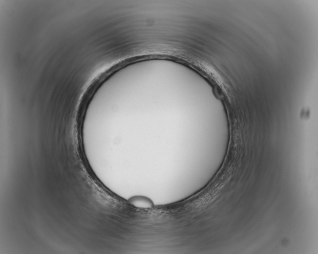 X0000096721072200802261648