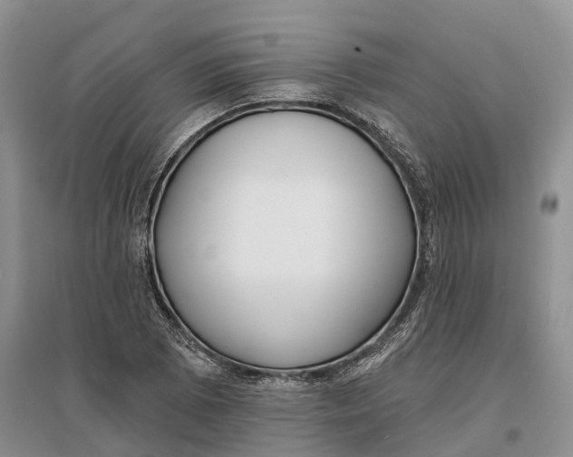 X0000096721073200802261648