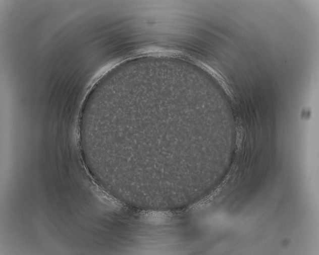 X0000096721074200802261648