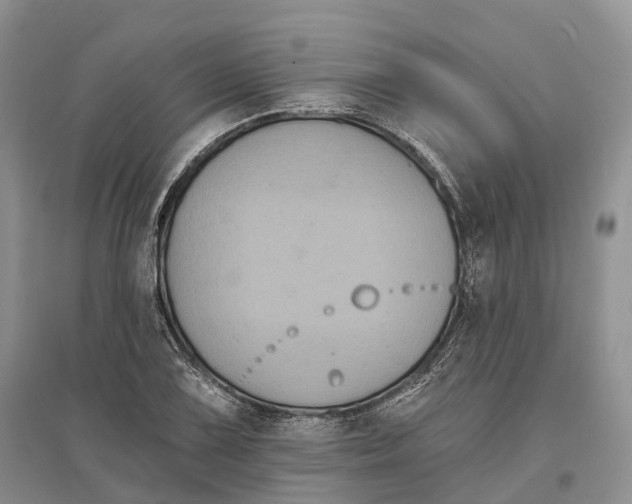 X0000096721075200802261648