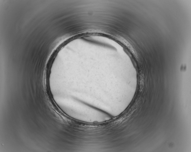 X0000096721076200802261648