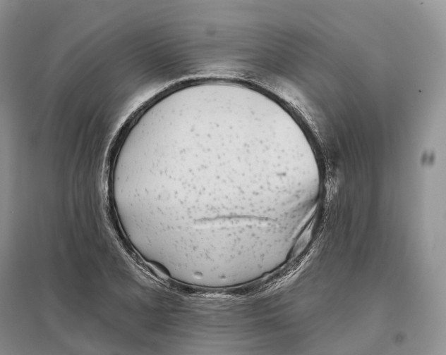 X0000096721077200802261648