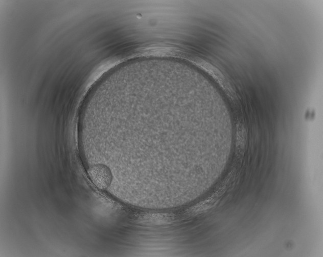 X0000096721078200802261648