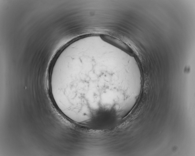 X0000096721080200802261648