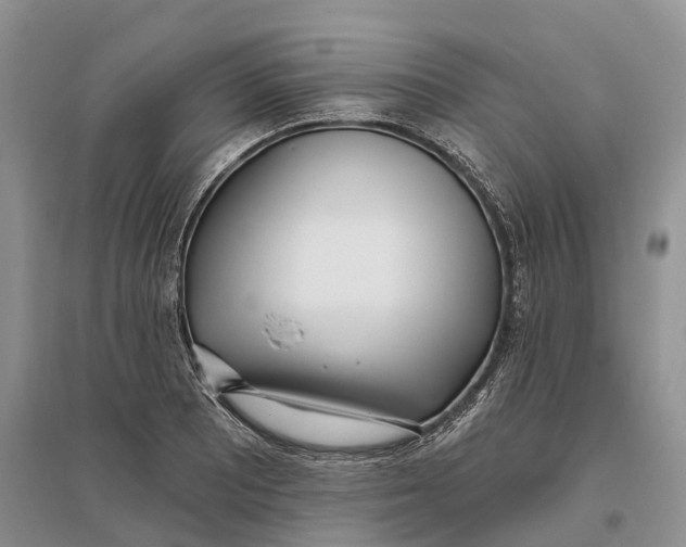 X0000096721081200802261648