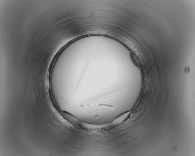 X0000096721084200802261648