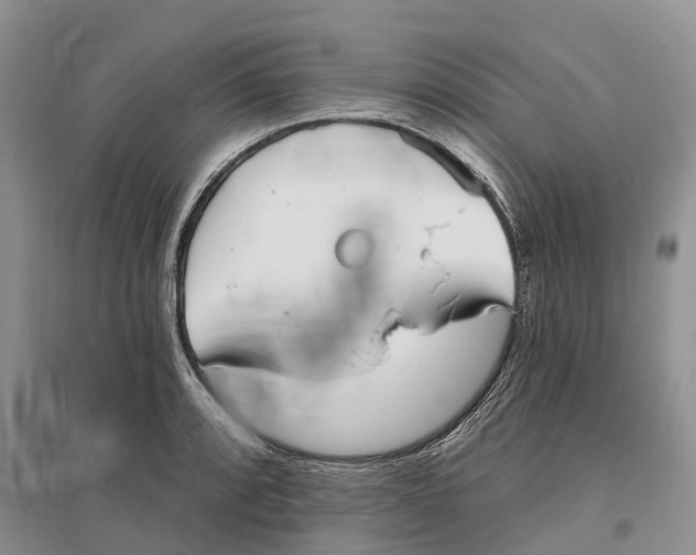 X0000096721088200802261647