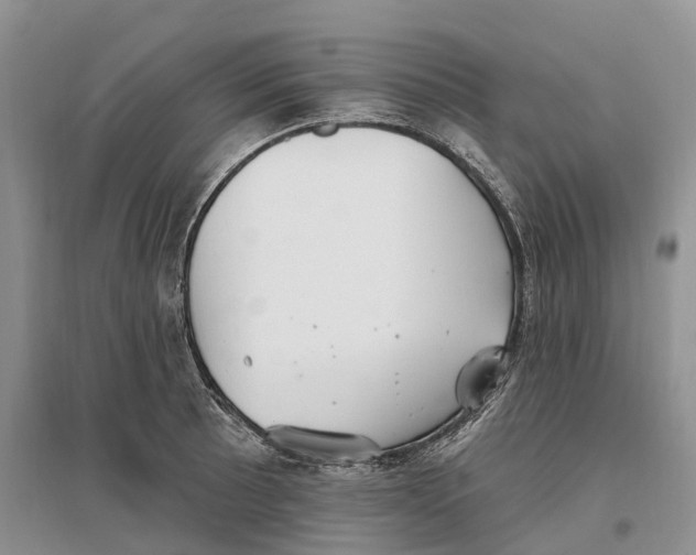 X0000096721089200802261647