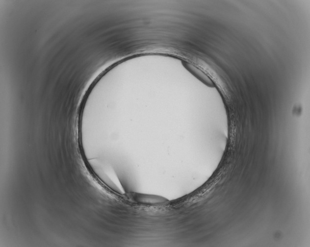 X0000096721092200802261647