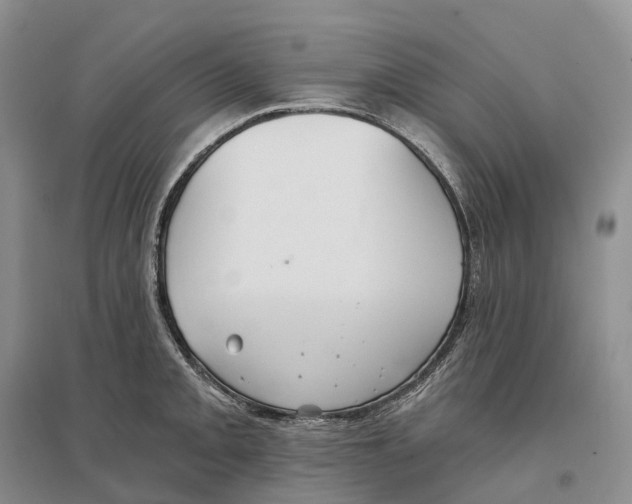 X0000096721093200802261647