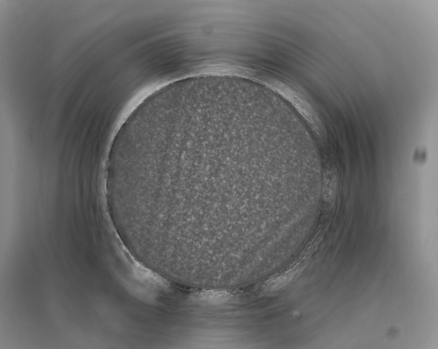 X0000096721094200802261647