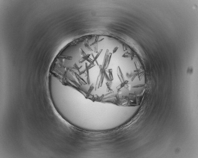 X0000096721095200802261647