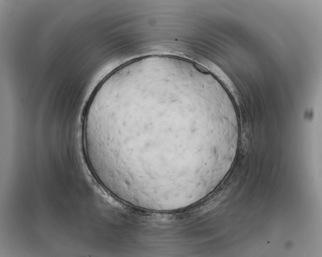 X0000096721096200802261647