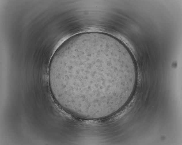 X0000096721097200802261647