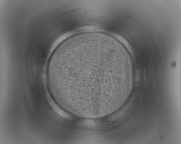 X0000096721098200802261647