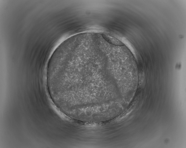 X0000096721099200802261647