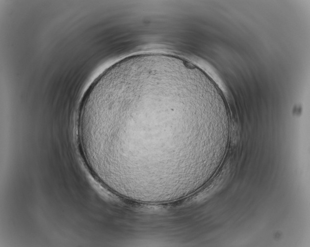 X0000096721101200802261647