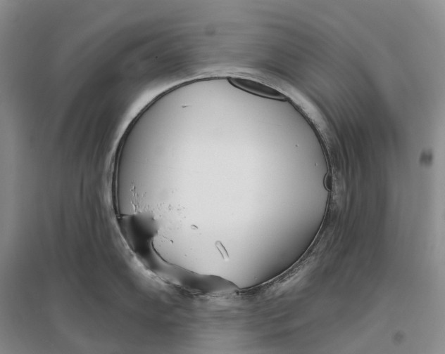 X0000096721102200802261647