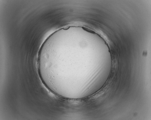 X0000096721103200802261647