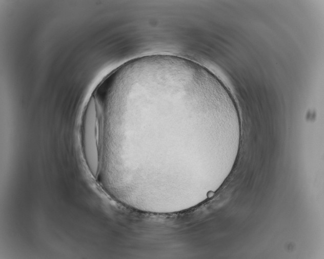 X0000096721104200802261647