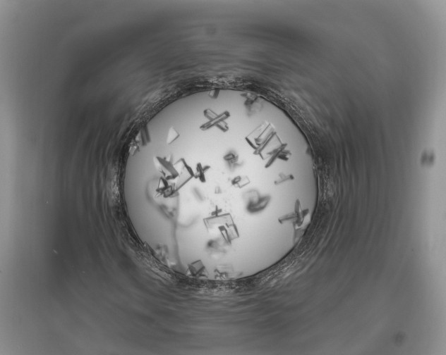 X0000096721106200802261646