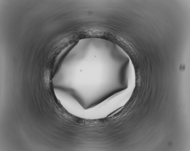 X0000096721108200802261647