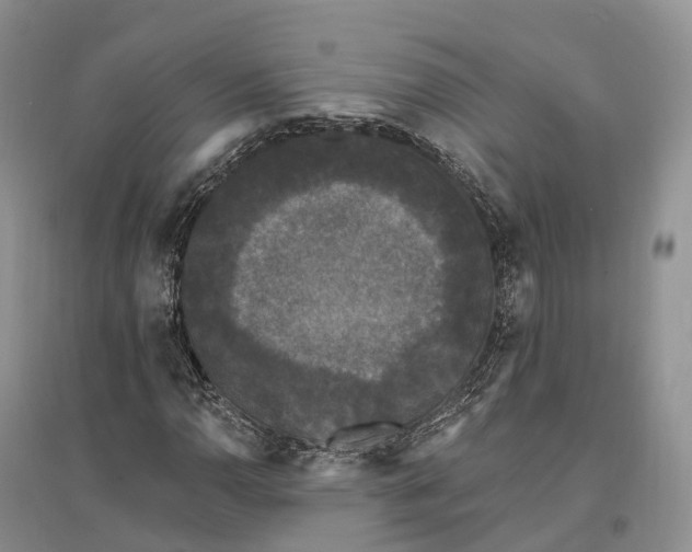 X0000096721110200802261647