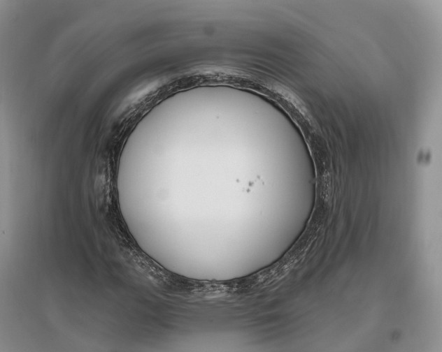 X0000096721111200802261647