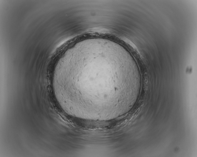 X0000096721112200802261647