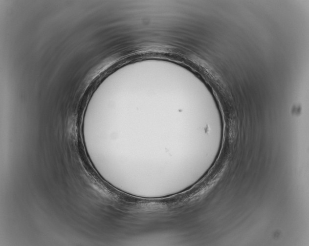 X0000096721113200802261647