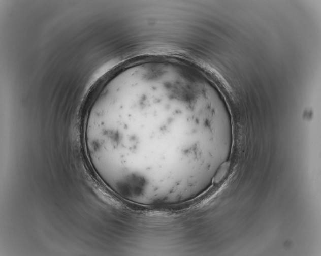 X0000096721114200802261647