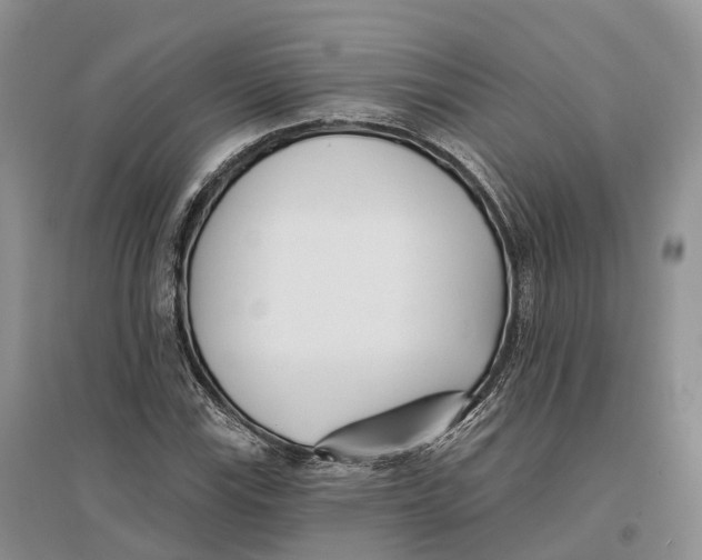 X0000096721115200802261647