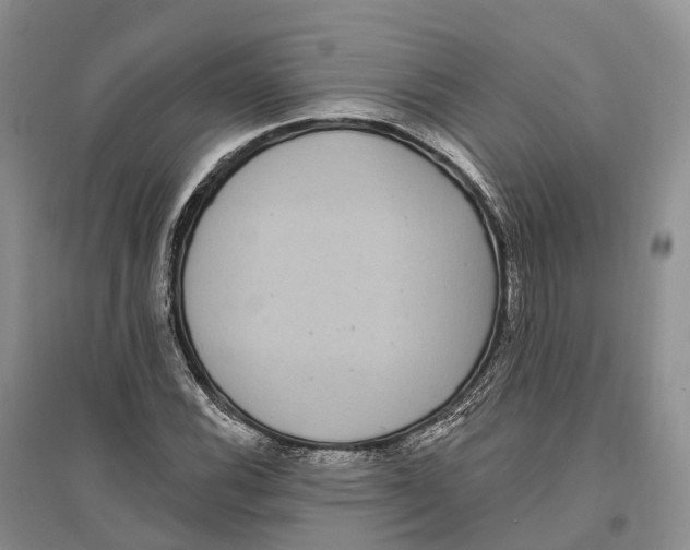 X0000096721116200802261647