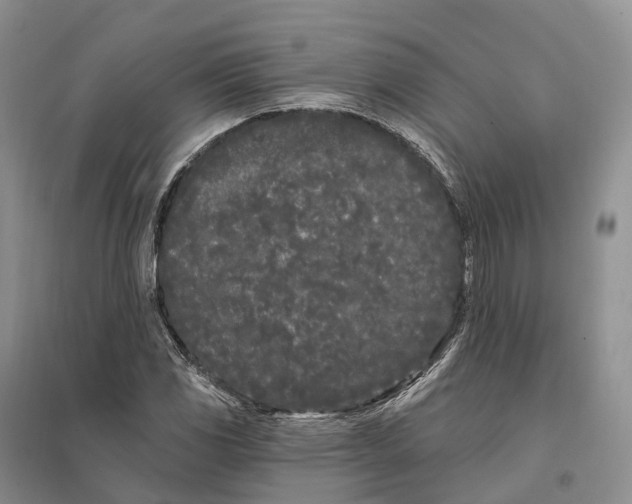 X0000096721117200802261647