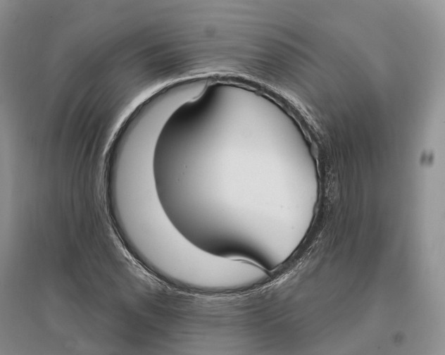 X0000096721118200802261647