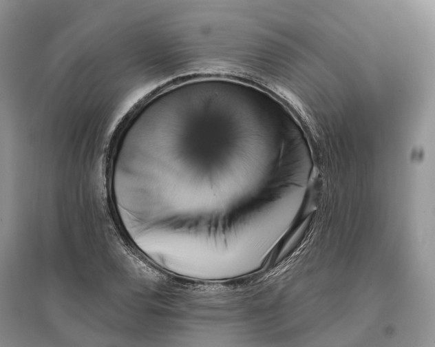 X0000096721120200802261647