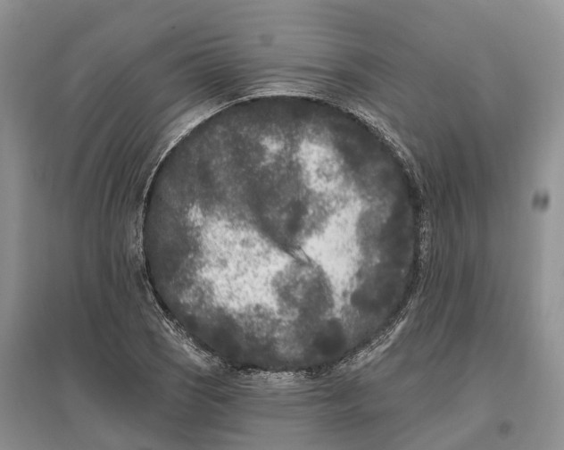 X0000096721121200802261647