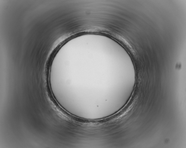 X0000096721122200802261647